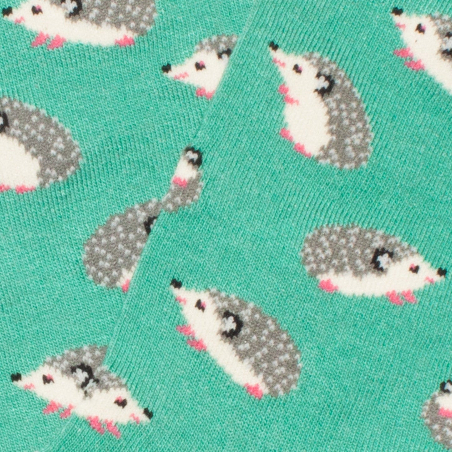 Kids Hedgehog - Turquoise