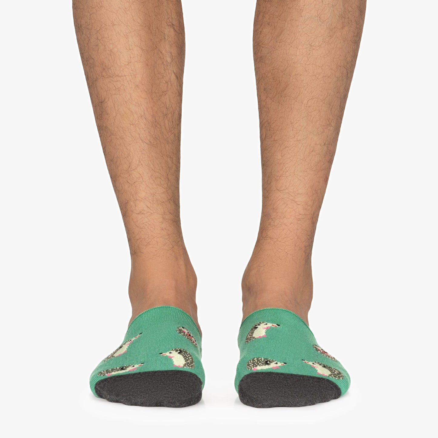 Hedgehog No Show - Turquoise