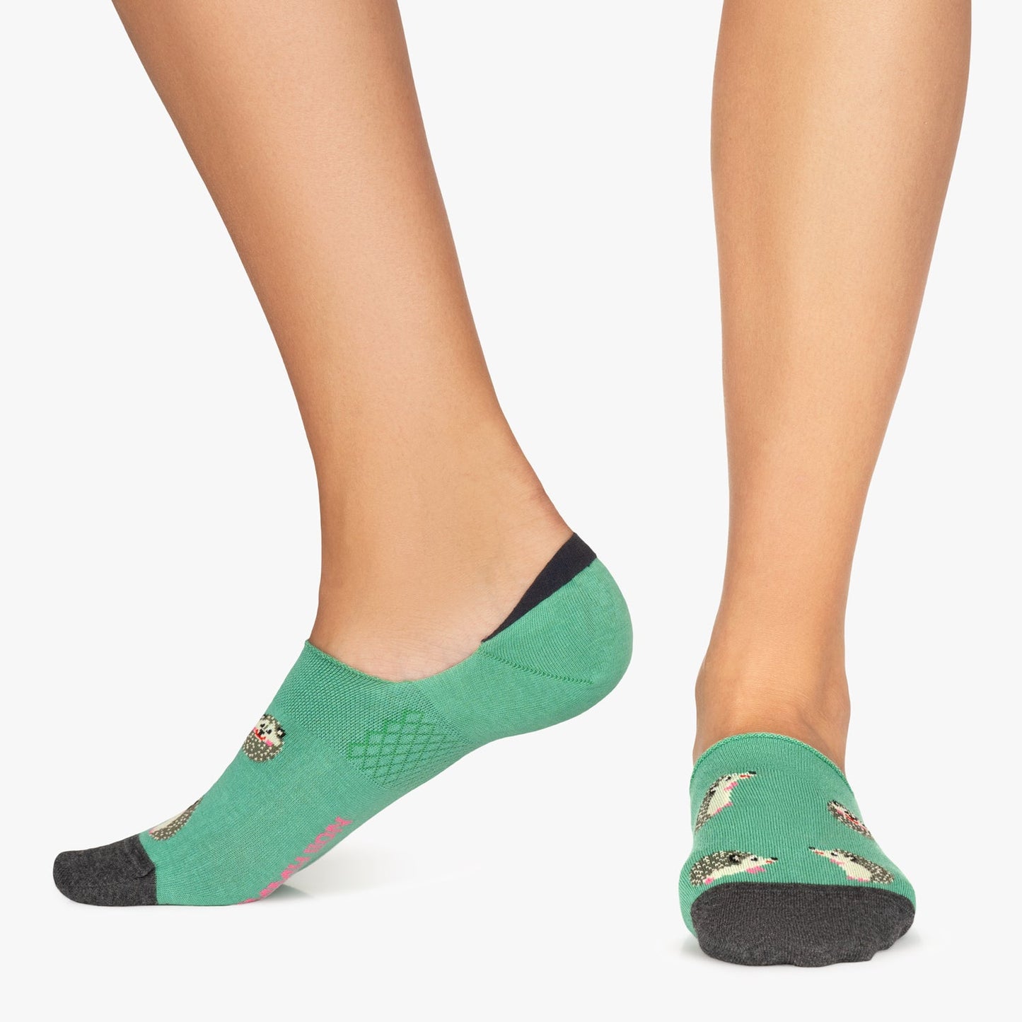 Hedgehog No Show - Turquoise