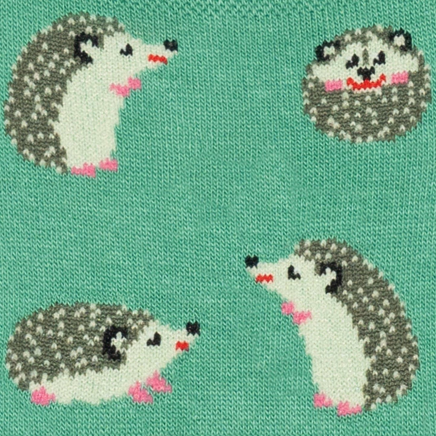 Hedgehog No Show - Turquoise