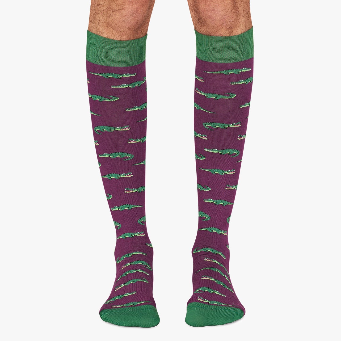 KH Crocodiles - Purple